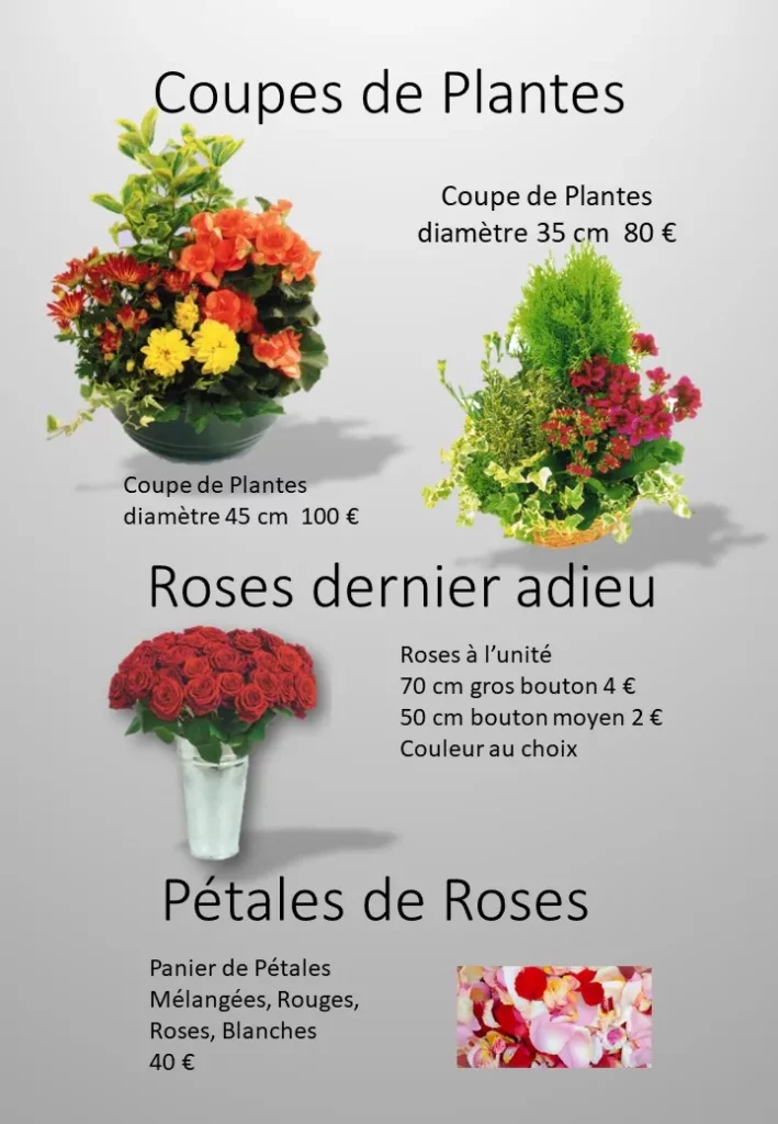 Catalogue de coupes de plantes d'extérieur et bouquets de roses pour le dernier adieu